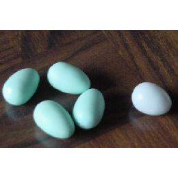 #P900 ARTIFICIAL EGGS - CANARY - SET OF 10 Image